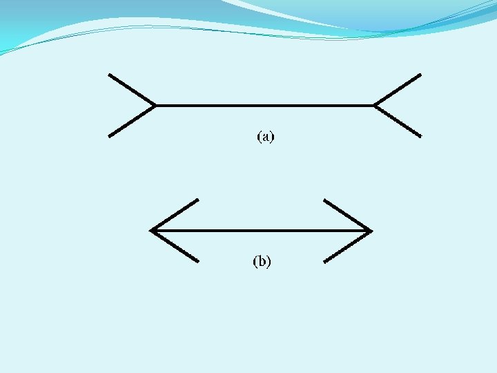 BIAS IS IT ALL ABOUT PERSPECTIVE What is