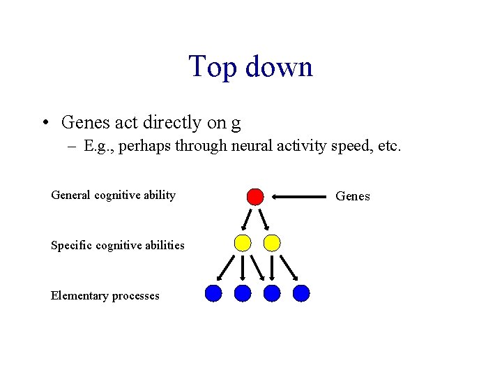 Top down • Genes act directly on g – E. g. , perhaps through