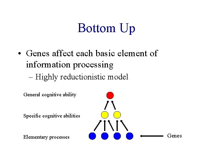 Bottom Up • Genes affect each basic element of information processing – Highly reductionistic