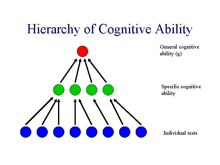 Hierarchy of Cognitive Ability General cognitive ability (g) Specific cognitive ability Individual tests 