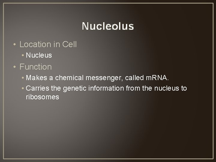 Nucleolus • Location in Cell • Nucleus • Function • Makes a chemical messenger,