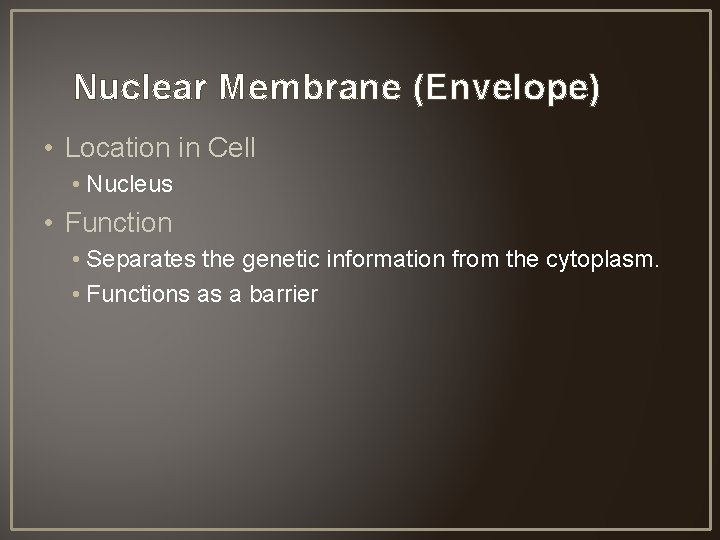 Nuclear Membrane (Envelope) • Location in Cell • Nucleus • Function • Separates the