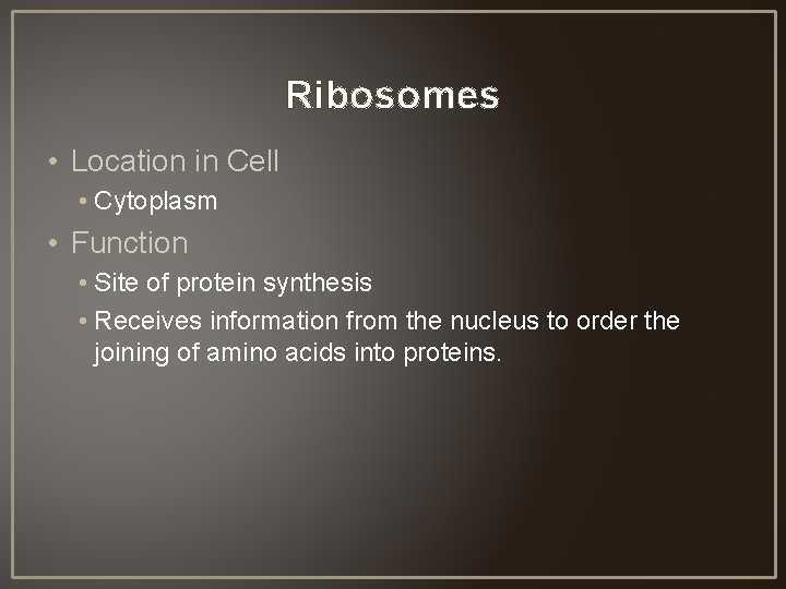 Ribosomes • Location in Cell • Cytoplasm • Function • Site of protein synthesis