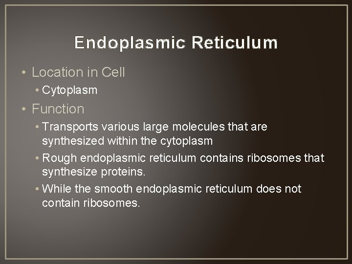 Endoplasmic Reticulum • Location in Cell • Cytoplasm • Function • Transports various large