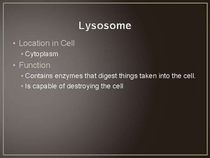 Lysosome • Location in Cell • Cytoplasm • Function • Contains enzymes that digest