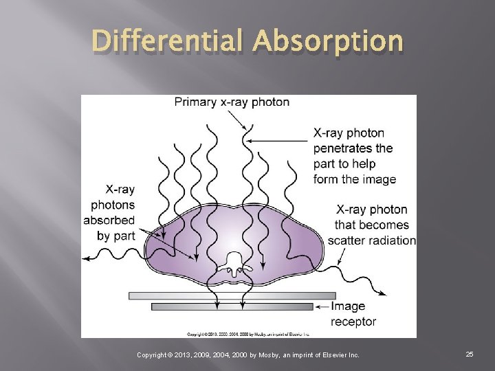 Differential Absorption Copyright © 2013, 2009, 2004, 2000 by Mosby, an imprint of Elsevier