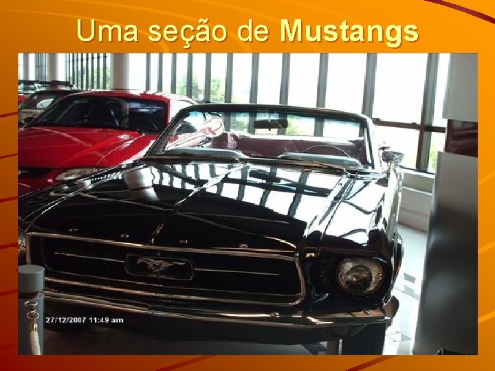 Uma seção de Mustangs 