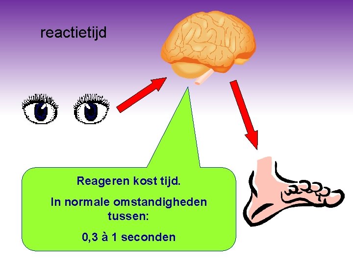 reactietijd Reageren kost tijd. In normale omstandigheden tussen: 0, 3 à 1 seconden reactietijd Reageren kost tijd. In normale omstandigheden tussen: 0, 3 à 1 seconden