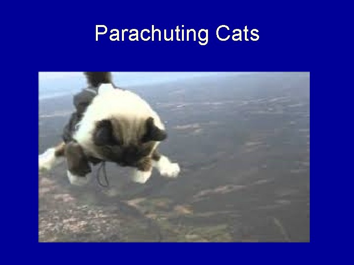 Parachuting Cats 