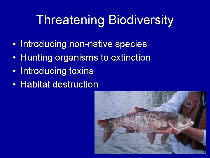 Threatening Biodiversity • • Introducing non-native species Hunting organisms to extinction Introducing toxins Habitat
