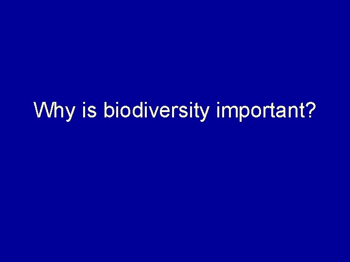 Why is biodiversity important? 