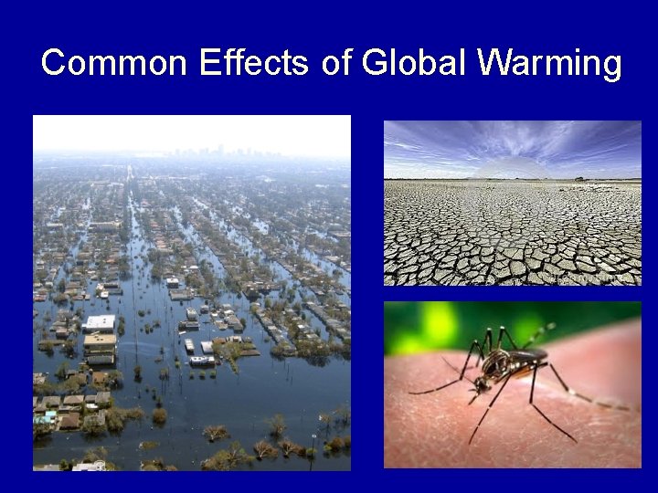 Common Effects of Global Warming 