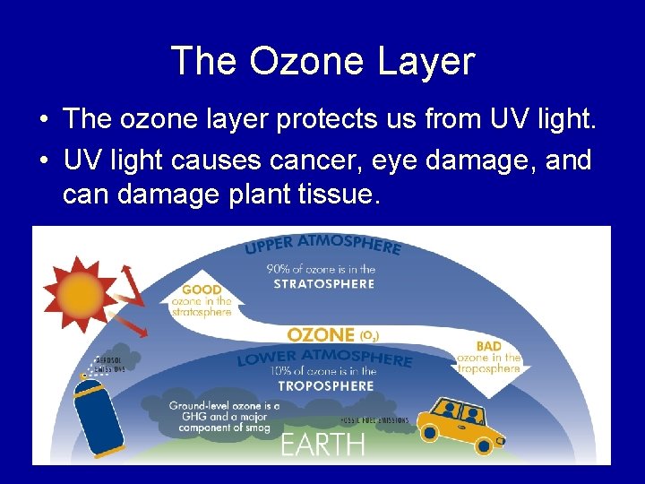 The Ozone Layer • The ozone layer protects us from UV light. • UV