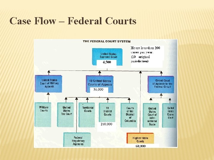 Case Flow – Federal Courts 