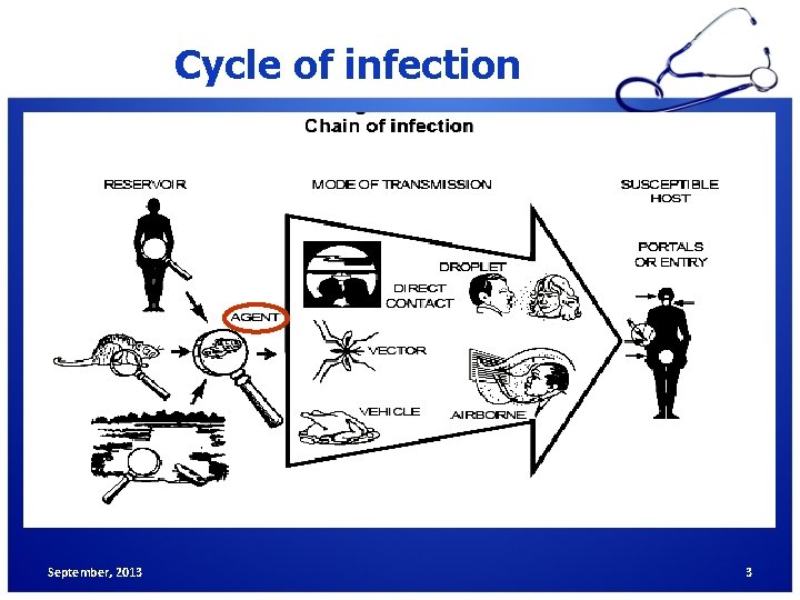 Cycle of infection September, 2013 3 