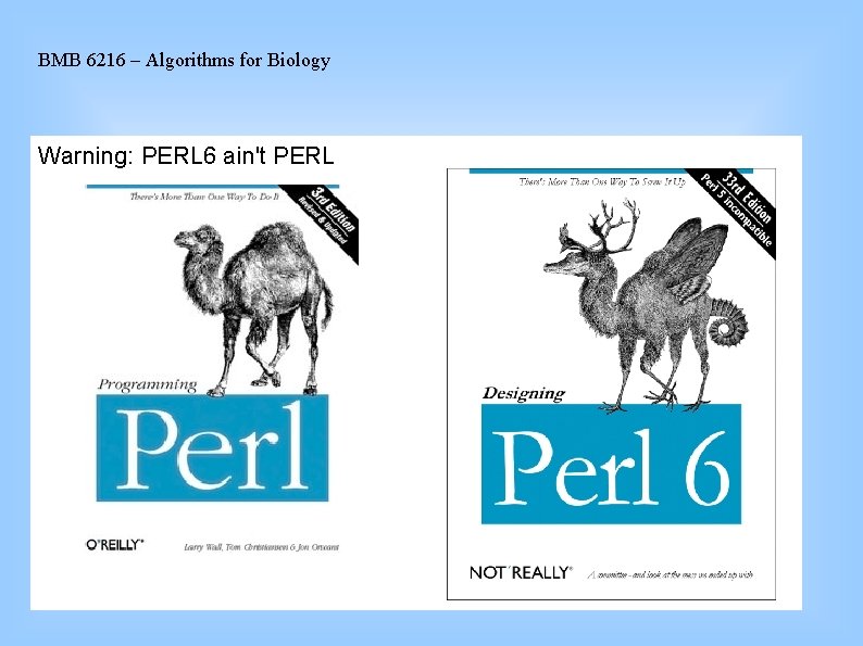 BMB 6216 – Algorithms for Biology Warning: PERL 6 ain't PERL 