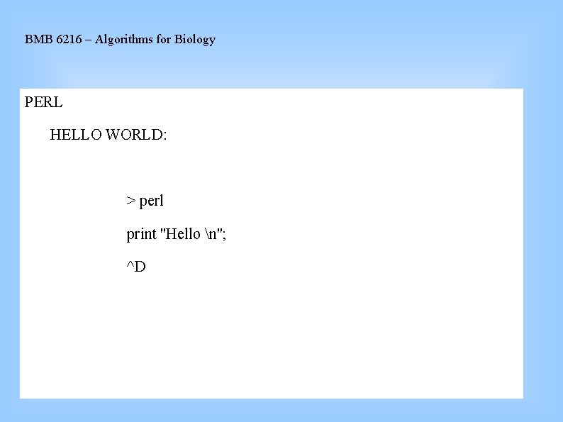 BMB 6216 – Algorithms for Biology PERL HELLO WORLD: > perl print ''Hello n'';