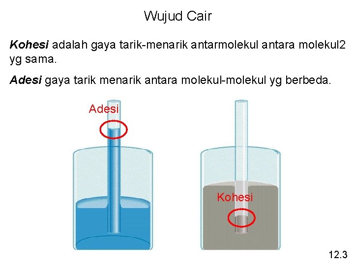 Wujud Cair Kohesi adalah gaya tarik-menarik antarmolekul antara molekul 2 yg sama. Adesi gaya