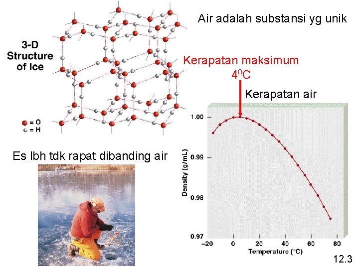 Air adalah substansi yg unik Kerapatan maksimum 4 0 C Kerapatan air Es lbh