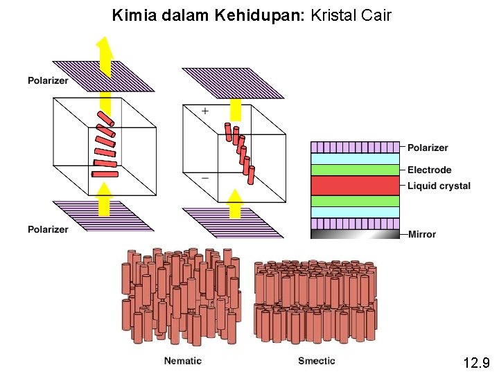 Kimia dalam Kehidupan: Kristal Cair 12. 9 
