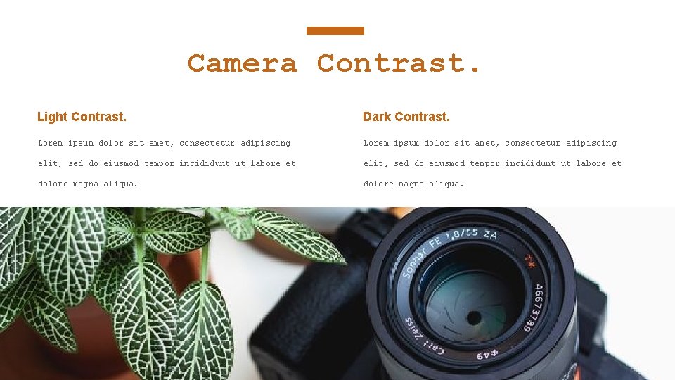 Camera Contrast. Light Contrast. Dark Contrast. Lorem ipsum dolor sit amet, consectetur adipiscing elit,