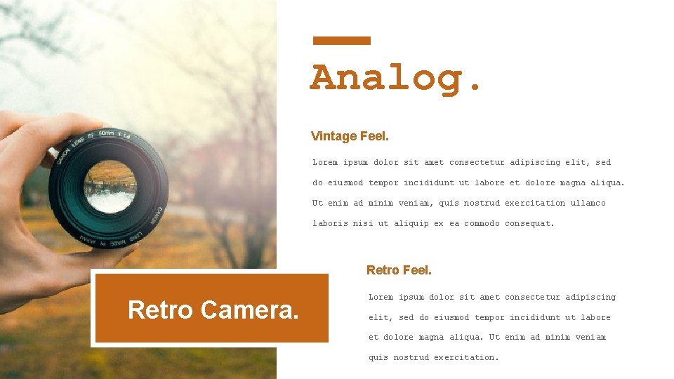 Analog. Vintage Feel. Lorem ipsum dolor sit amet consectetur adipiscing elit, sed do eiusmod