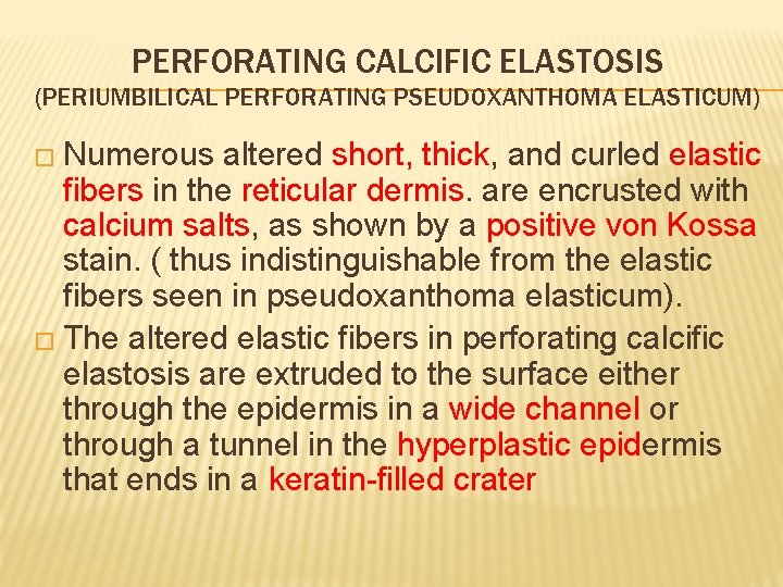 PERFORATING CALCIFIC ELASTOSIS (PERIUMBILICAL PERFORATING PSEUDOXANTHOMA ELASTICUM) � Numerous altered short, thick, and curled