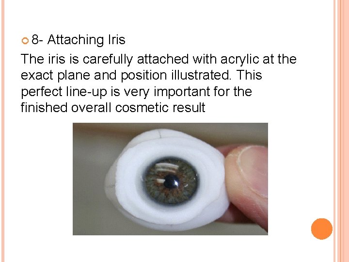  8 - Attaching Iris The iris is carefully attached with acrylic at the