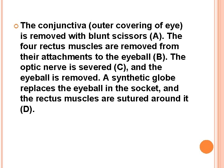  The conjunctiva (outer covering of eye) is removed with blunt scissors (A). The