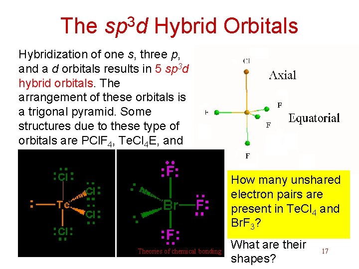 The sp 3 d Hybrid Orbitals Hybridization of one s, three p, and a