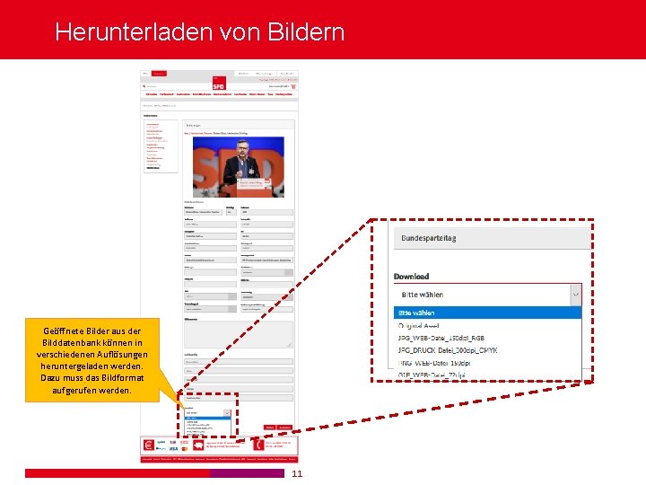 Herunterladen von Bildern Geöffnete Bilder aus der Bilddatenbank können in verschiedenen Auflösungen heruntergeladen werden.
