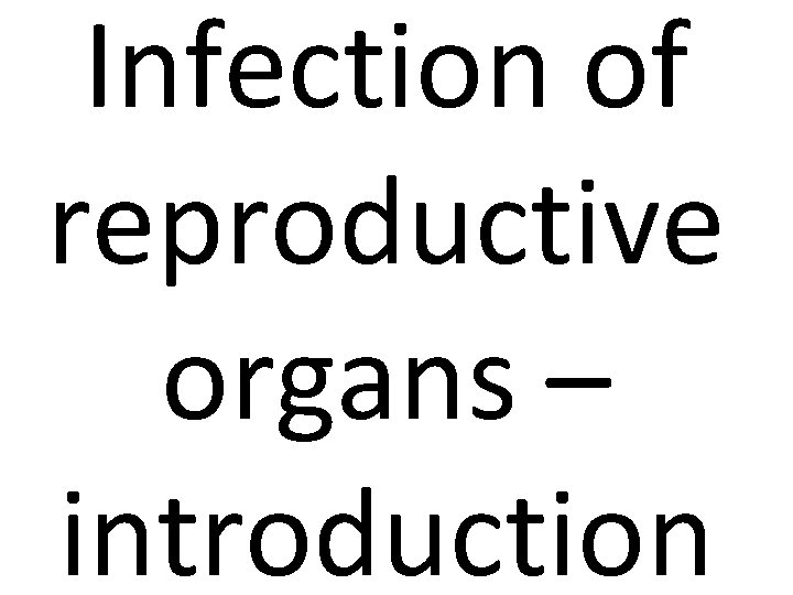 Infection of reproductive organs – introduction 