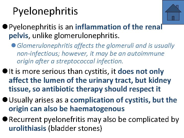 Pyelonephritis l Pyelonephritis is an inflammation of the renal pelvis, unlike glomerulonephritis. l Glomerulonephritis