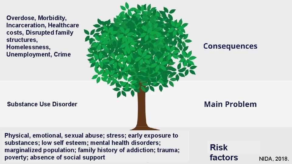 Overdose, Morbidity, Incarceration, Healthcare costs, Disrupted family structures, Homelessness, Unemployment, Crime Substance Use Disorder