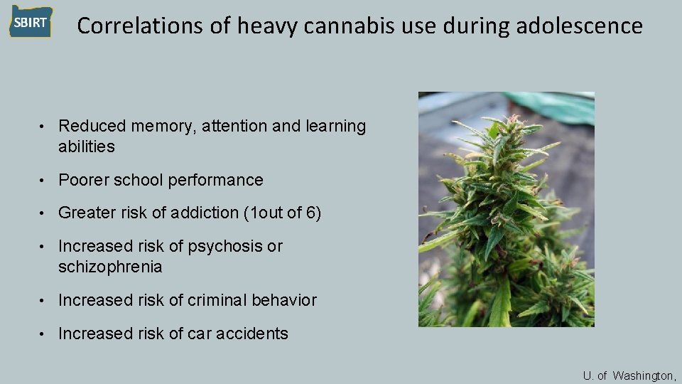 Correlations of heavy cannabis use during adolescence • Reduced memory, attention and learning abilities