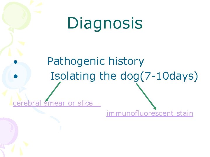 Diagnosis • • Pathogenic history Isolating the dog(7 -10 days) cerebral smear or slice