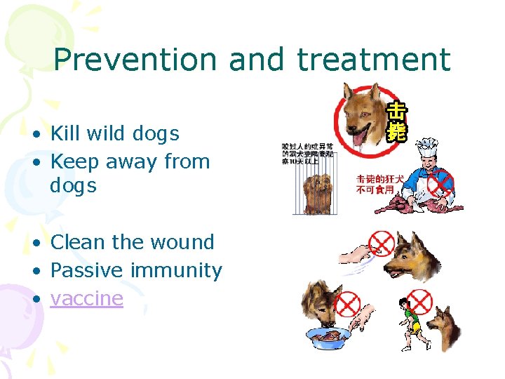 Prevention and treatment • Kill wild dogs • Keep away from dogs • Clean