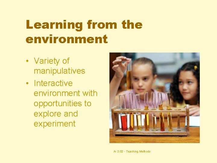 Learning from the environment • Variety of manipulatives • Interactive environment with opportunities to