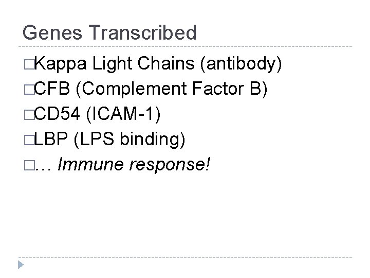 Genes Transcribed �Kappa Light Chains (antibody) �CFB (Complement Factor B) �CD 54 (ICAM-1) �LBP