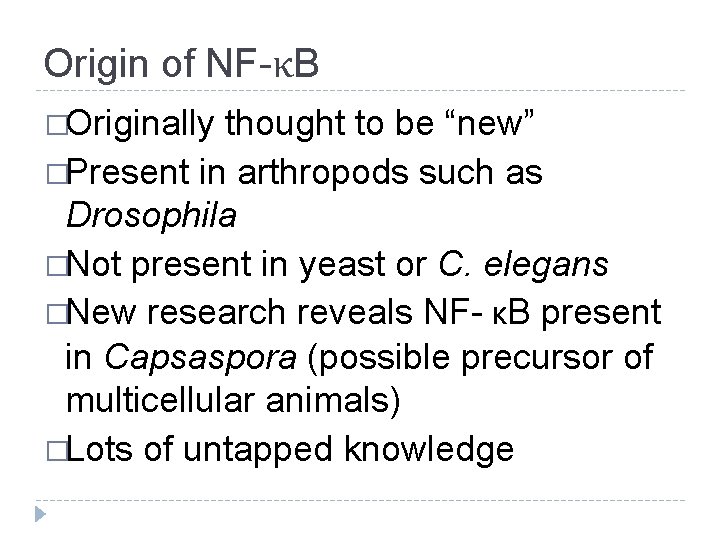 Origin of NF-κB �Originally thought to be “new” �Present in arthropods such as Drosophila
