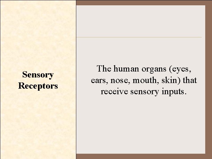 Sensory Receptors The human organs (eyes, ears, nose, mouth, skin) that receive sensory inputs.