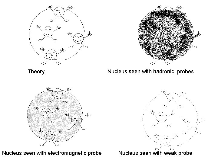 Theory Nucleus seen with electromagnetic probe Nucleus seen with hadronic probes Nucleus seen with