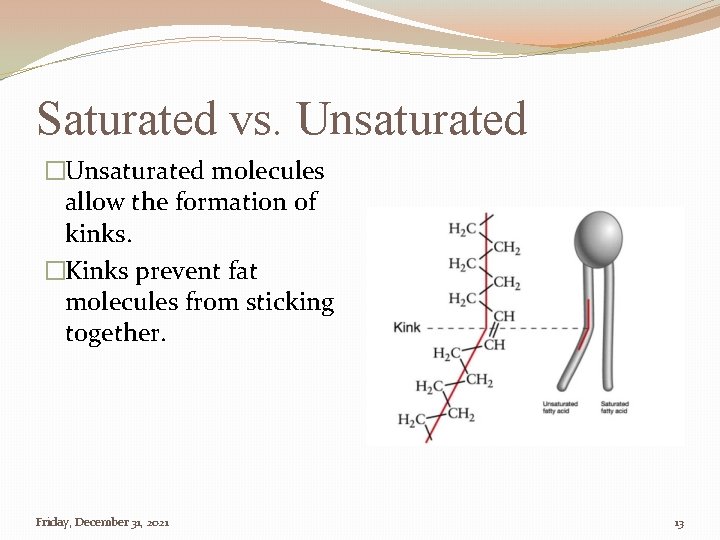 Saturated vs. Unsaturated �Unsaturated molecules allow the formation of kinks. �Kinks prevent fat molecules