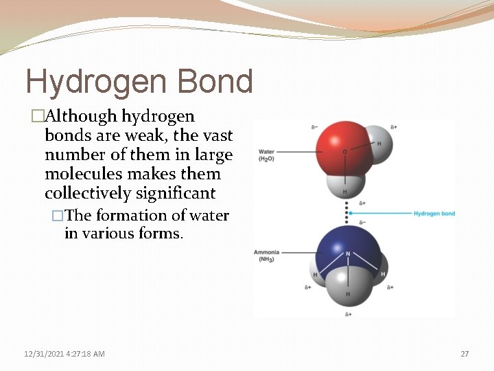 Hydrogen Bond �Although hydrogen bonds are weak, the vast number of them in large