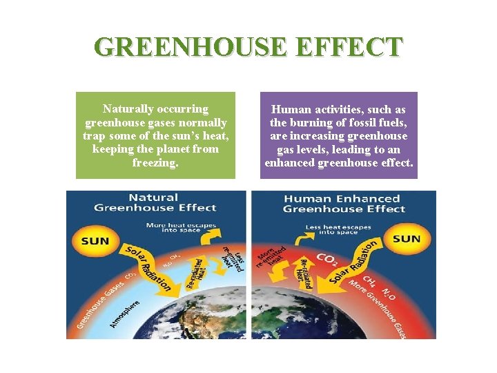 GREENHOUSE EFFECT Naturally occurring greenhouse gases normally trap some of the sun’s heat, keeping