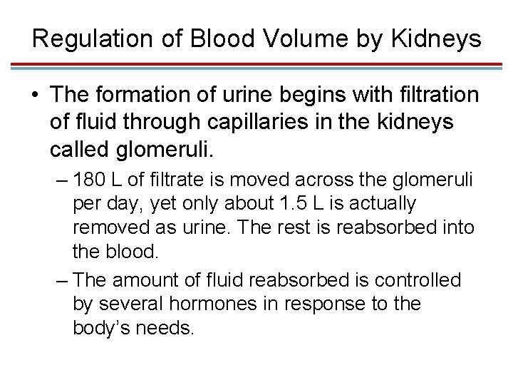 Regulation of Blood Volume by Kidneys • The formation of urine begins with filtration