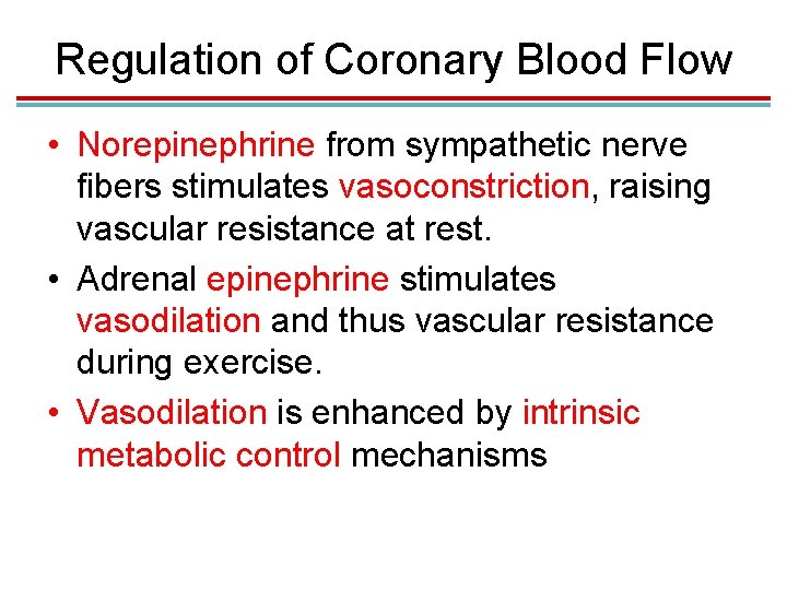 Regulation of Coronary Blood Flow • Norepinephrine from sympathetic nerve fibers stimulates vasoconstriction, raising