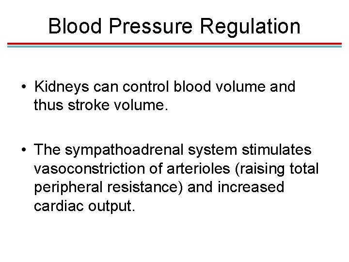 Blood Pressure Regulation • Kidneys can control blood volume and thus stroke volume. •