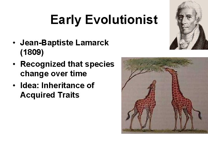 Early Evolutionist • Jean-Baptiste Lamarck (1809) • Recognized that species change over time •