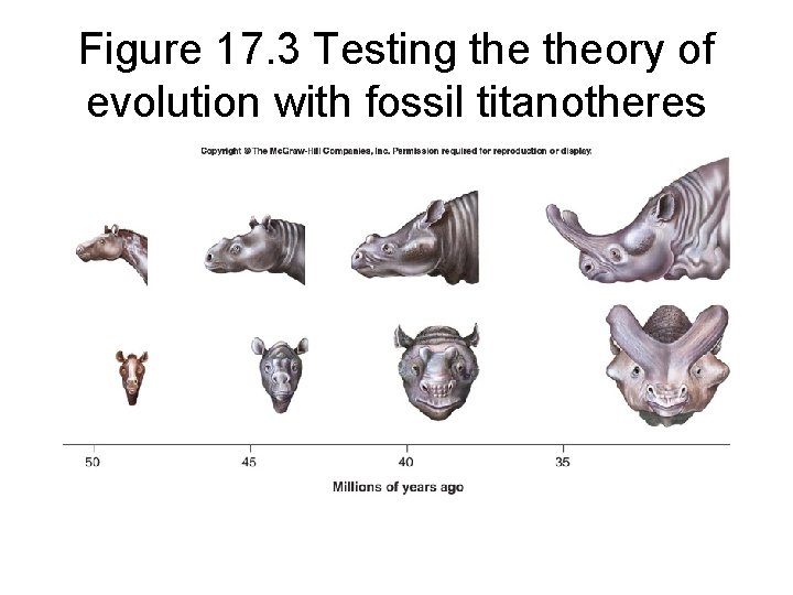 Figure 17. 3 Testing theory of evolution with fossil titanotheres 